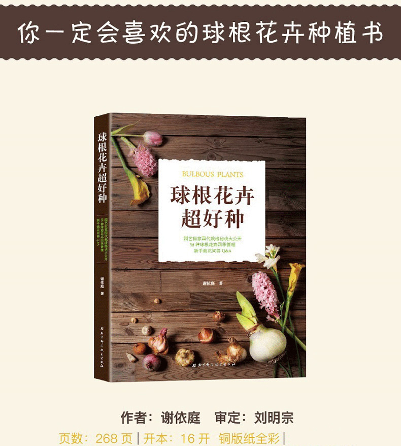 1714012928687355.jpg 详情-02_01.jpg